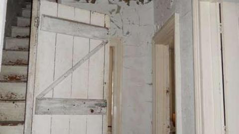 Peter's Beauty - DSCN0431.jpg