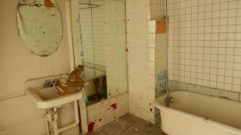 Peter's Beauty - DSCN0425.jpg