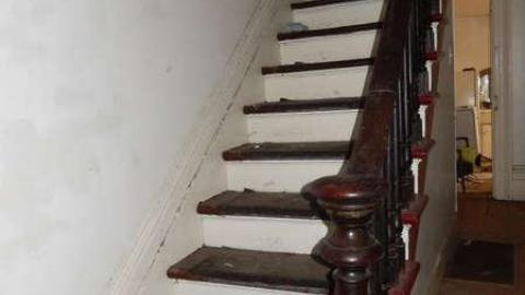 Peter's Beauty - DSCN0352.jpg