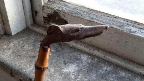 Peter's Beauty - DSCN0448.jpg