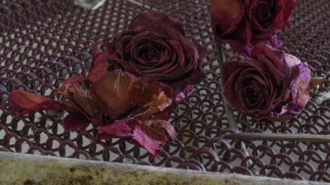 Help, Daddy Hurt Me  - 03 - IMG_8350-2-2.jpg