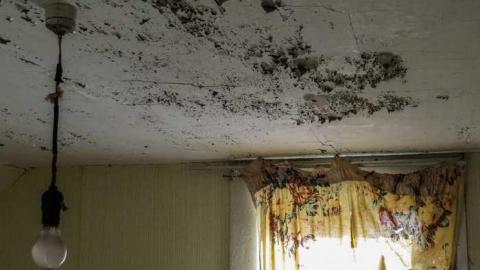 Photo from Help, Daddy Hurt Me 