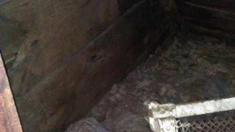 knobs and tube - WP_000954.jpg