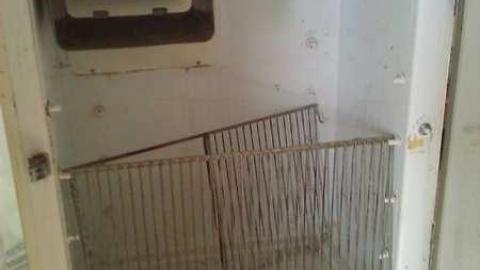 Photo from knobs and tube