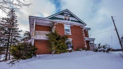 Still Waiting - Mountain-Maple1.jpg