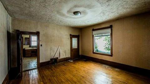 Still Waiting - Mountain-Maple11.jpg