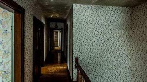 Still Waiting - Mountain-Maple13.jpg