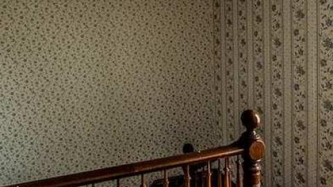 Still Waiting - Mountain-Maple16.jpg