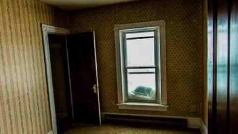 Still Waiting - Mountain-Maple17.jpg