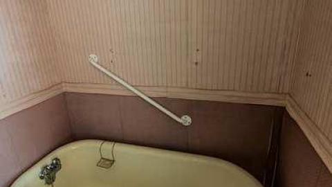 Still Waiting - Mountain-Maple19.jpg