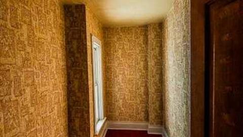 Still Waiting - Mountain-Maple20.jpg