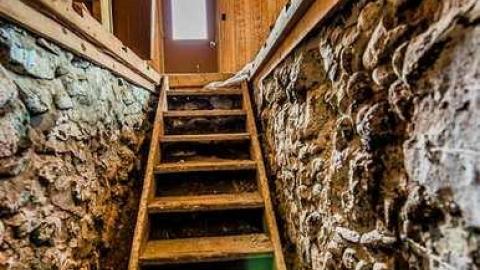 Still Waiting - Mountain-Maple22.jpg