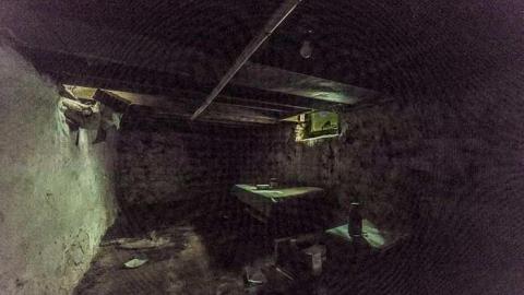 Still Waiting - Mountain-Maple23.jpg