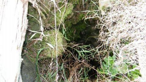 Gallery - Hwy-400-near-Innisfil-Beach-Rd66.jpg