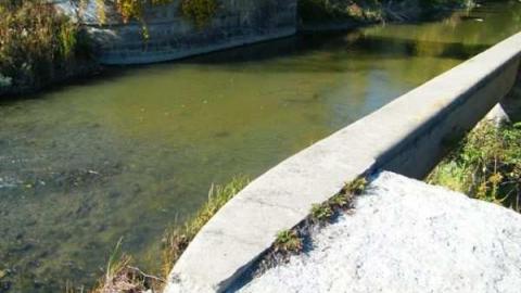 Swing Bridge & Lock #3 - Holland-River-Diversion-Locks26.jpg