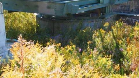 Swing Bridge & Lock #3 - Holland-River-Diversion-Locks28.jpg