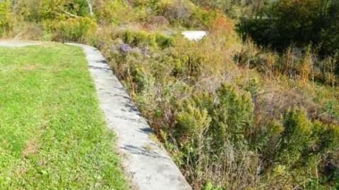 Swing Bridge & Lock #3 - Holland-River-Diversion-Locks29.jpg