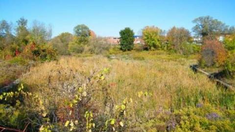Photo from Swing Bridge & Lock #3
