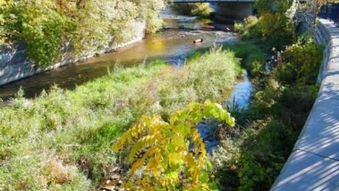 Photo from East Holland River & Arch
