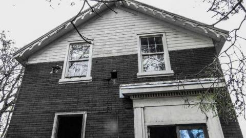 Blue Radical photo 5