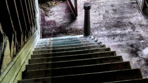 Blue Radical photo 4