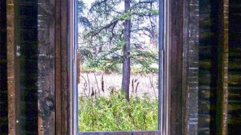 Fire Cover Up - 10.jpg