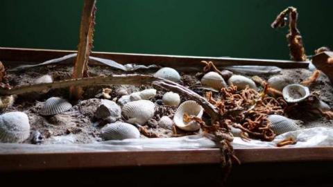 Jan 19/14 - House-In-The-Swamp137.jpg