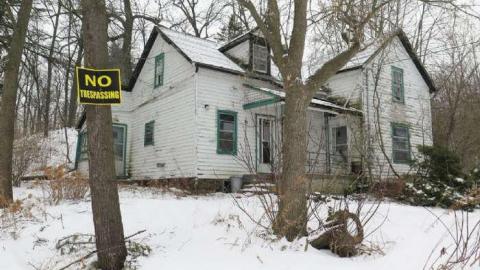 Bad Bad Bad Bad Bones... - BB2.jpg