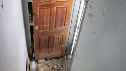 Bad Bad Bad Bad Bones... - BB5.jpg