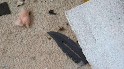 Bad Bad Bad Bad Bones... - BB20.jpg