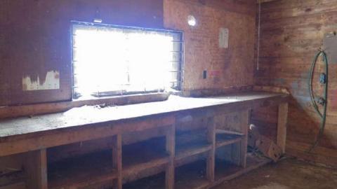 Bad Bad Bad Bad Bones... - BB23.jpg