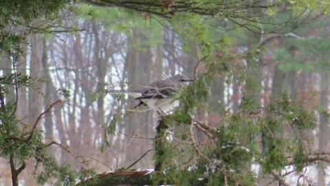 Photo from More Good than Bad