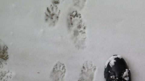 Photo from More Good than Bad