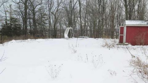 More Good than Bad - GB25.jpg