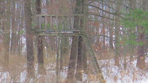 More Good than Bad - GB26.jpg