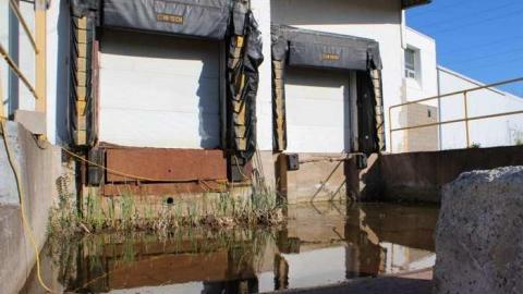 Dougherty's Meats Ltd - IMG_1067.jpg