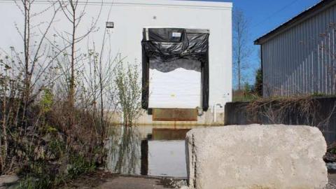 Dougherty's Meats Ltd - IMG_1086.jpg