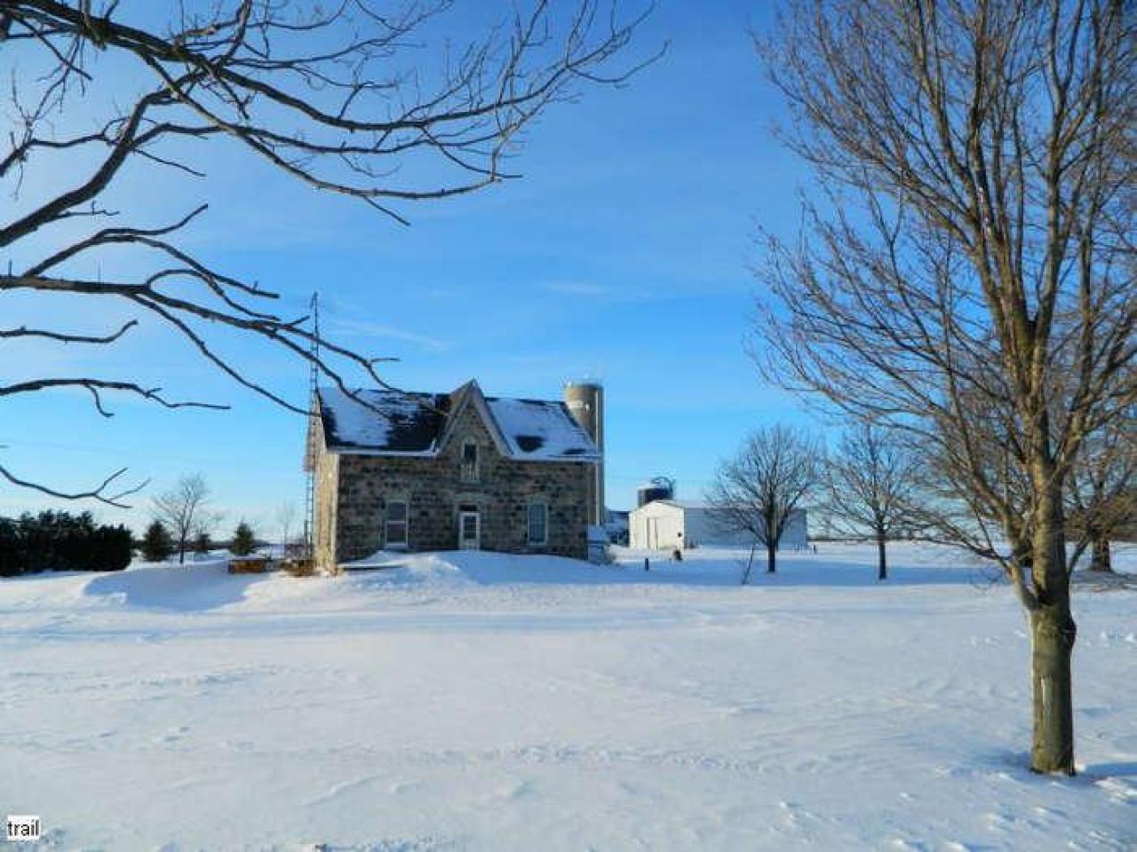 Frosty - DSCN6987.jpg