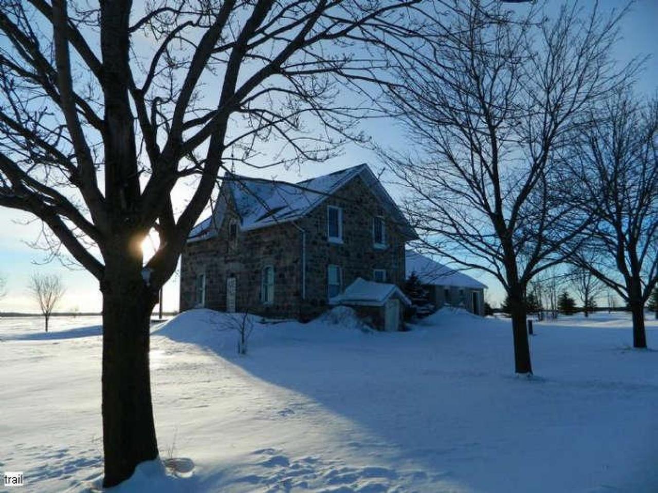 Frosty - DSCN6990.jpg