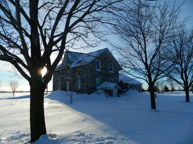 Frosty - DSCN6990.jpg