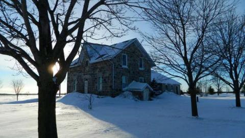 Frosty - DSCN6990.jpg