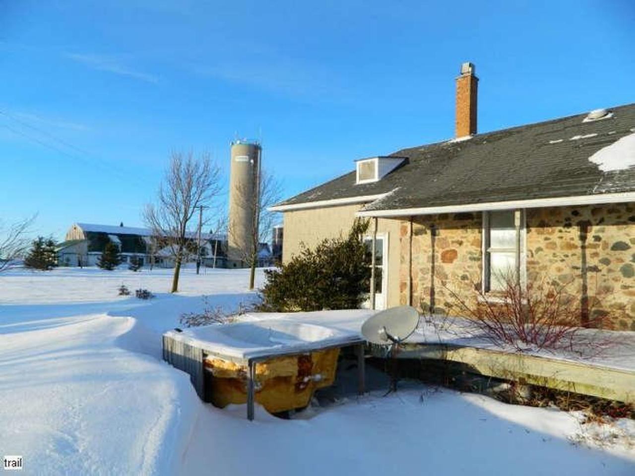 Frosty - DSCN7014.jpg