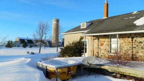 Frosty - DSCN7014.jpg