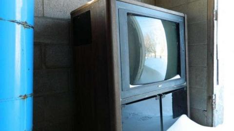 Frosty - DSCN7017.jpg