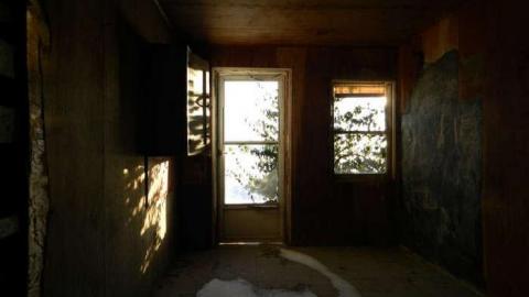 Frosty - DSCN7019.jpg