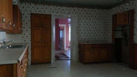 Frosty - DSCN7109.jpg