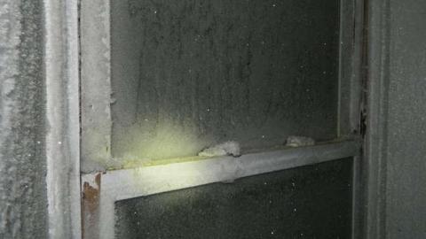 Frosty - DSCN7306.jpg