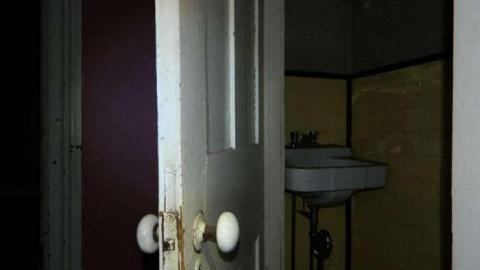 Frosty - DSCN7278.jpg