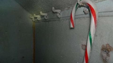 Frosty - DSCN7357.jpg