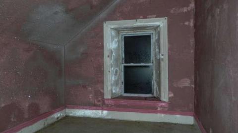 Frosty - DSCN7412.jpg